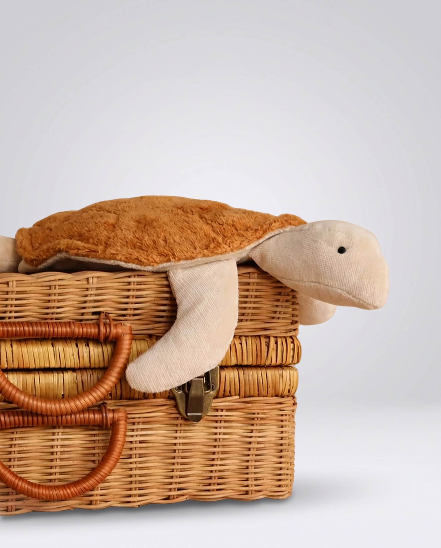 Plush Toys