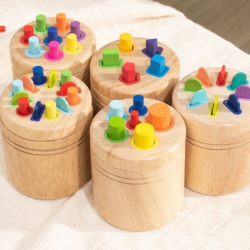 Montessori Wooden Color & Shape Sorting Sticks Set