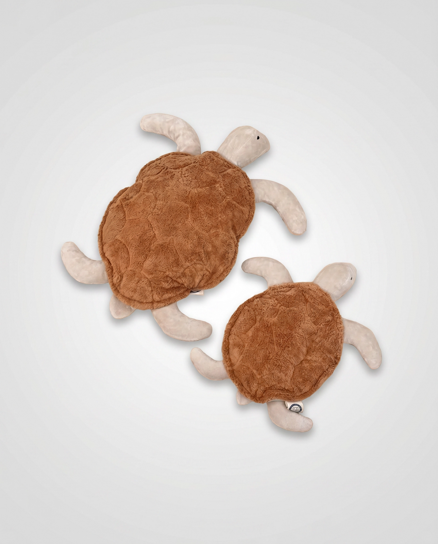 Soft Turtle
