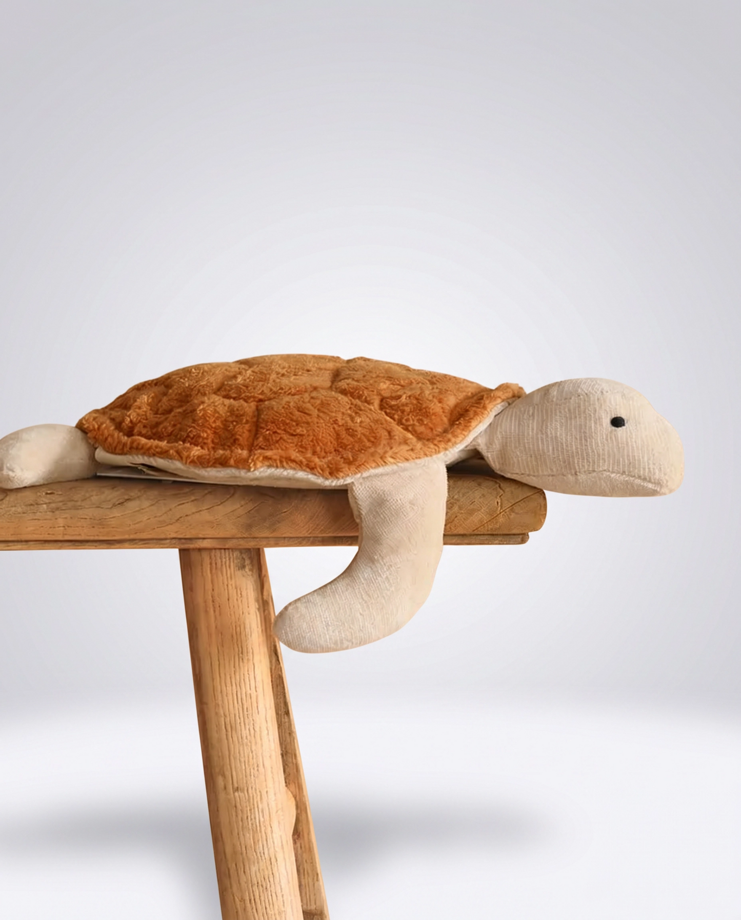 Soft Turtle
