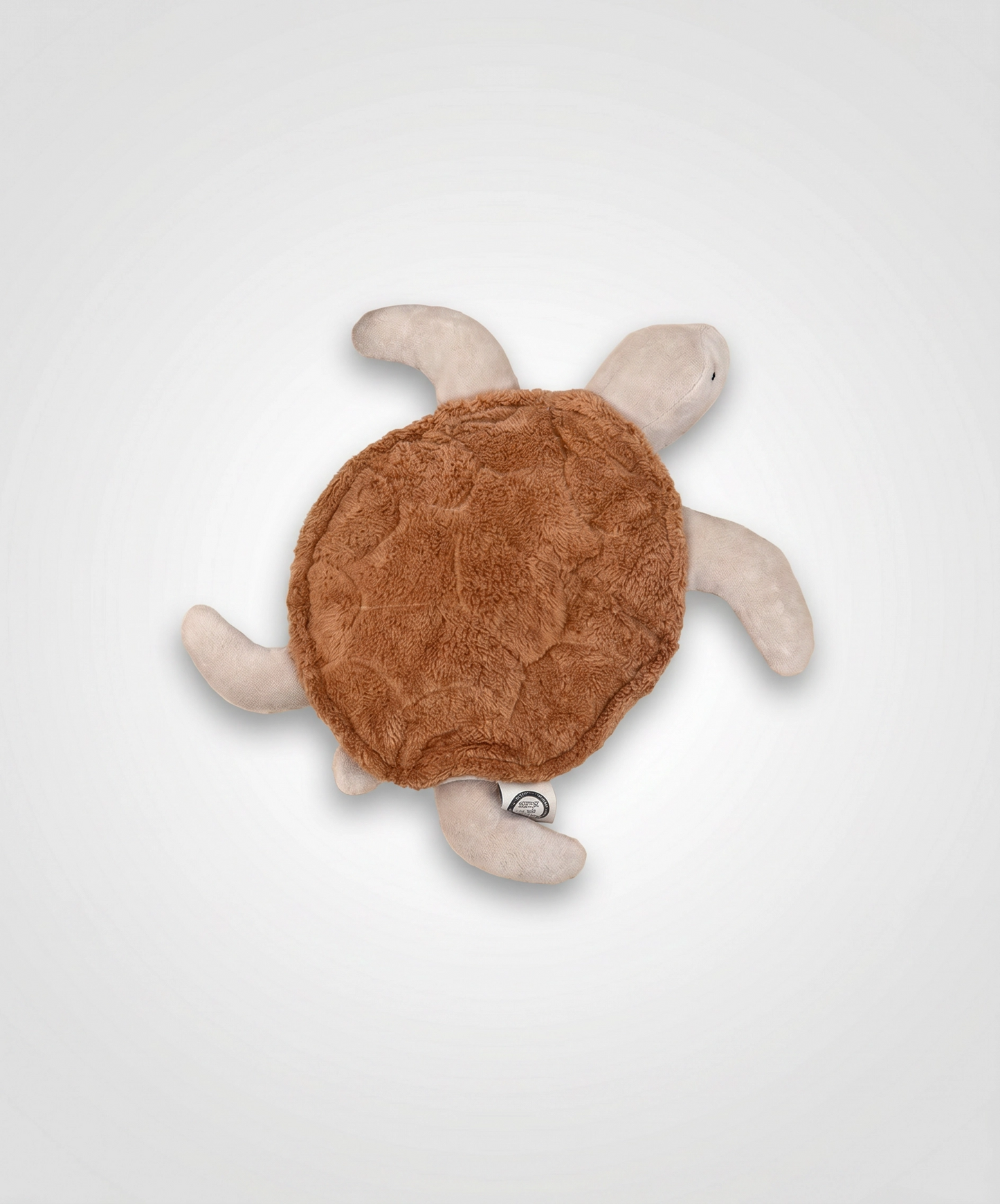 Soft Turtle